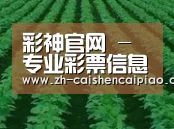 种植基地六