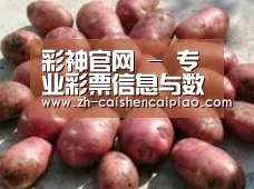 产品展示标题5