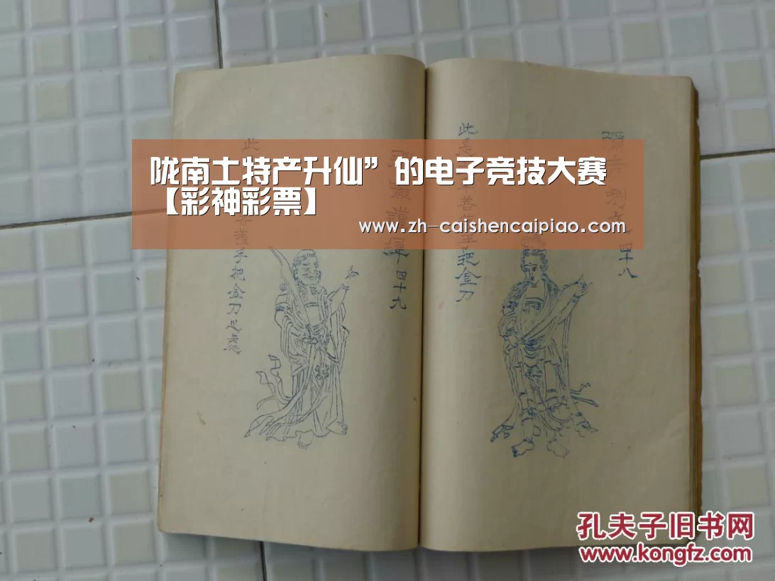 陇南土特产升仙”的电子竞技大赛【彩神彩票】(图4) 彩神彩票