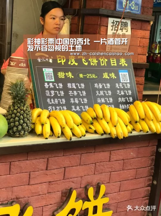 彩神彩票|中国的西北 一片酒管开发不容忽视的土地(图2) 彩神彩票