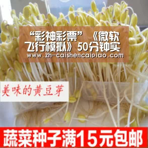 “彩神彩票”《微软飞行模拟》50分钟实机演示泄露 次世代感十足(图1) 彩神彩票